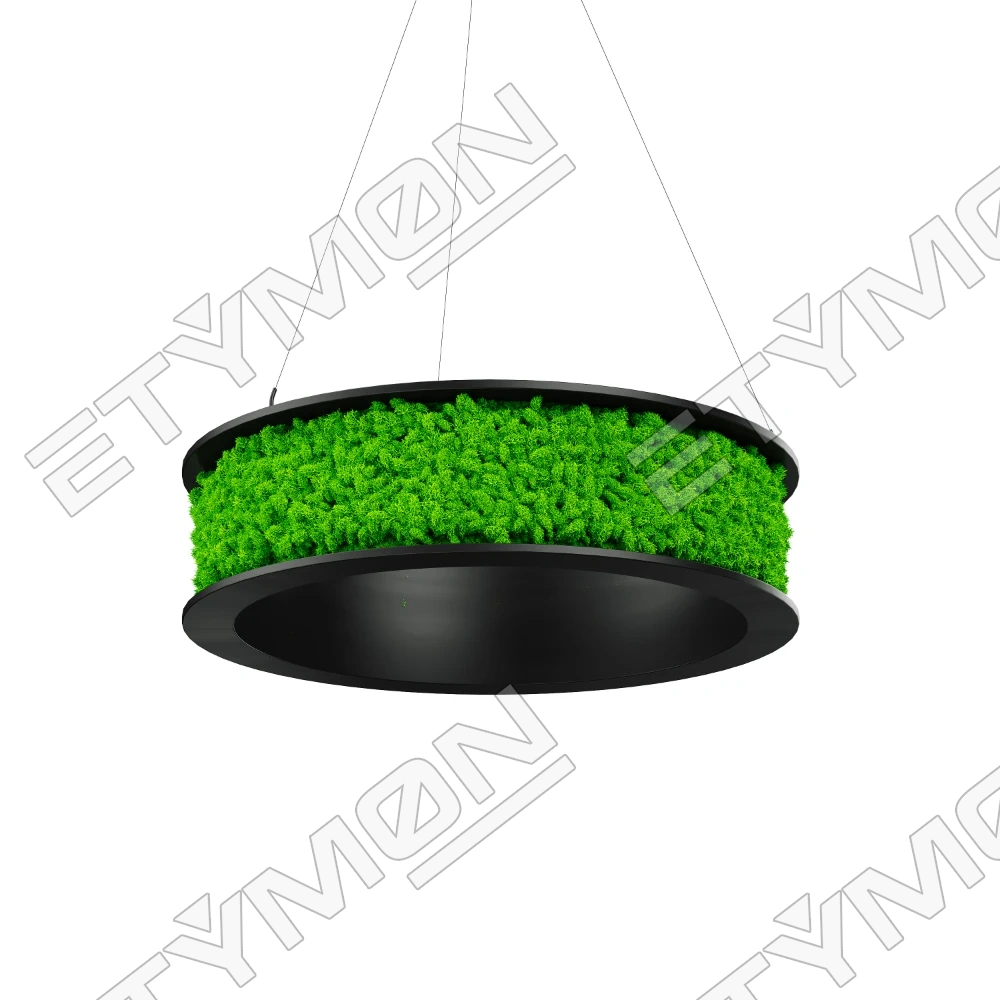 Bryona