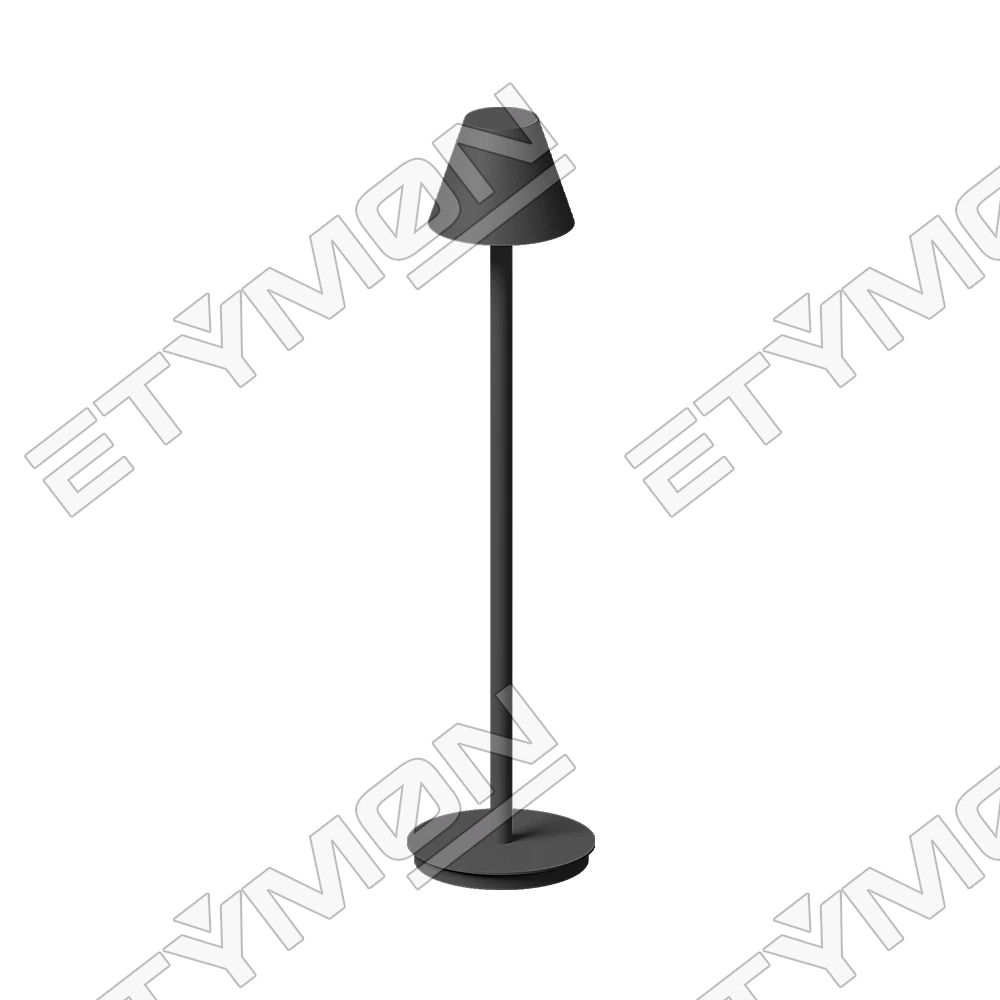 Etymon Facet