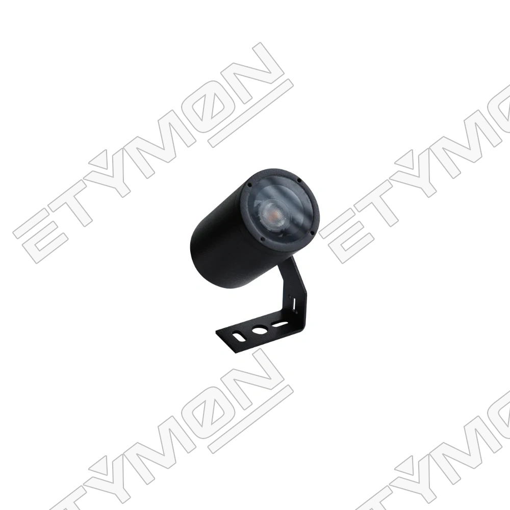 Etymon Nova 1
