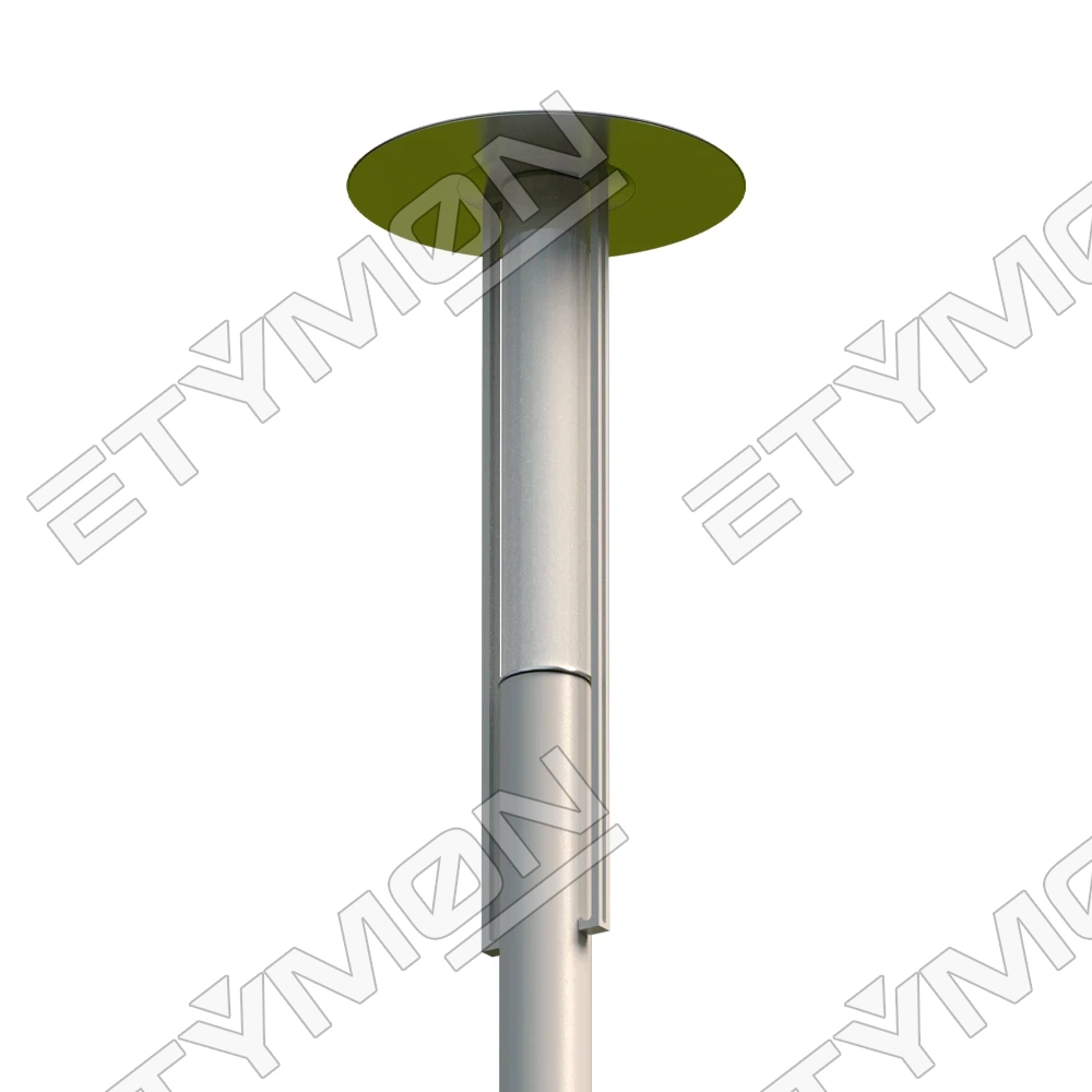 Etymon Focus