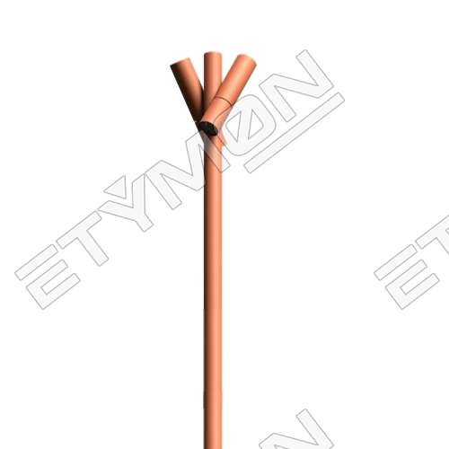 Etymon Lucent