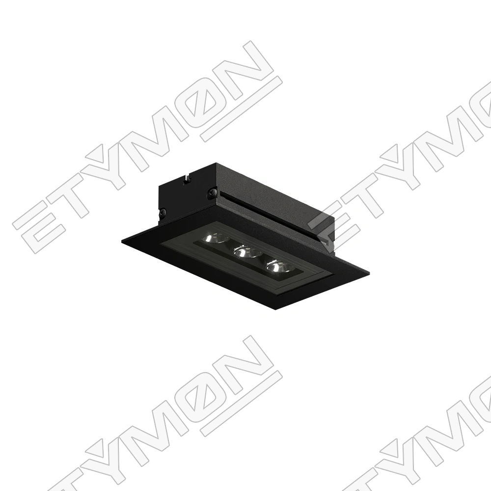 Etymon Terra R
