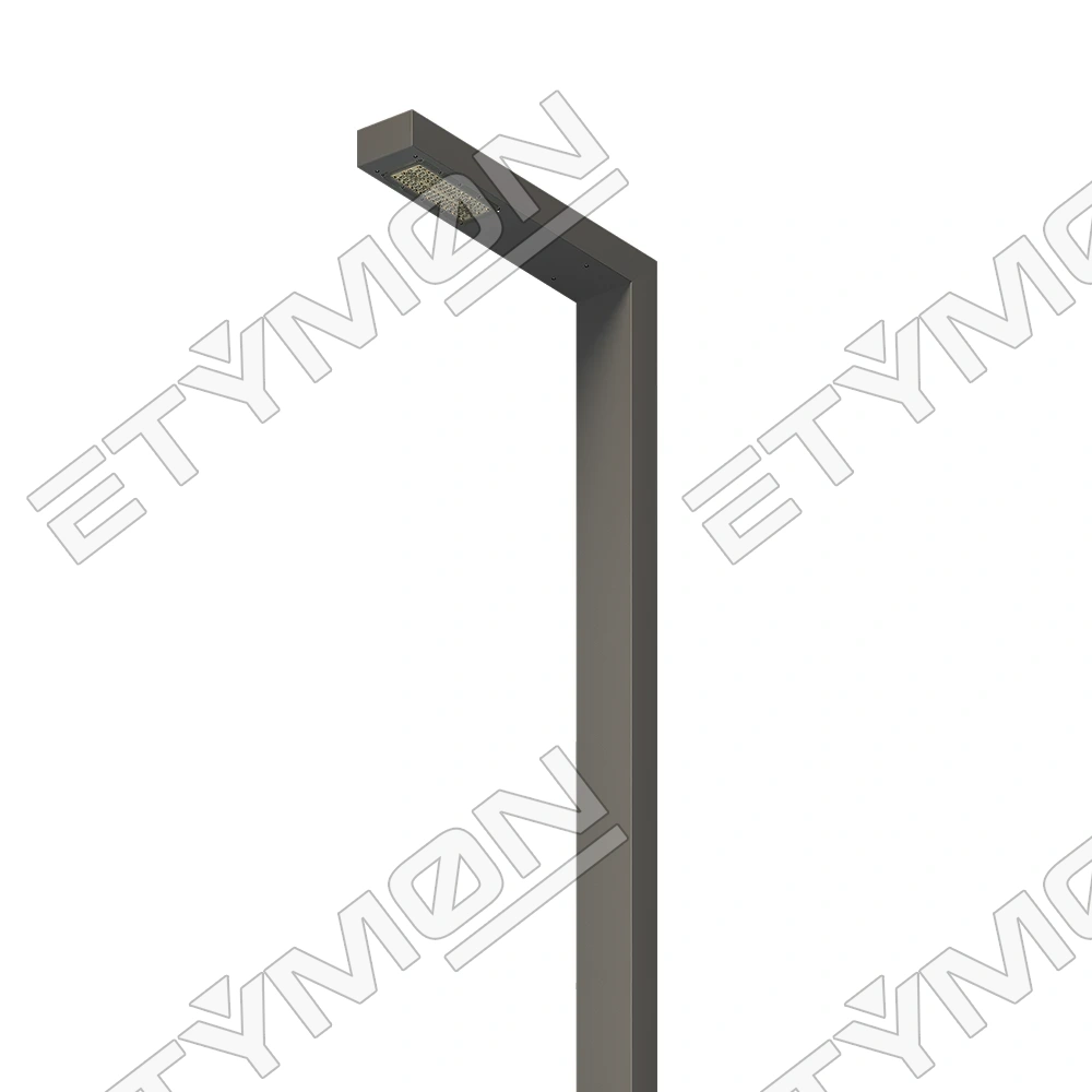 Etymon Forma