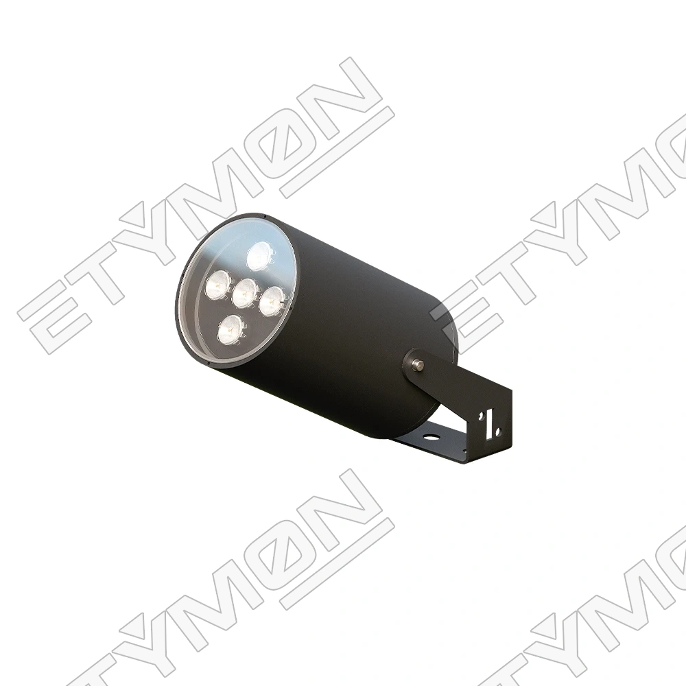 Etymon Solis 5