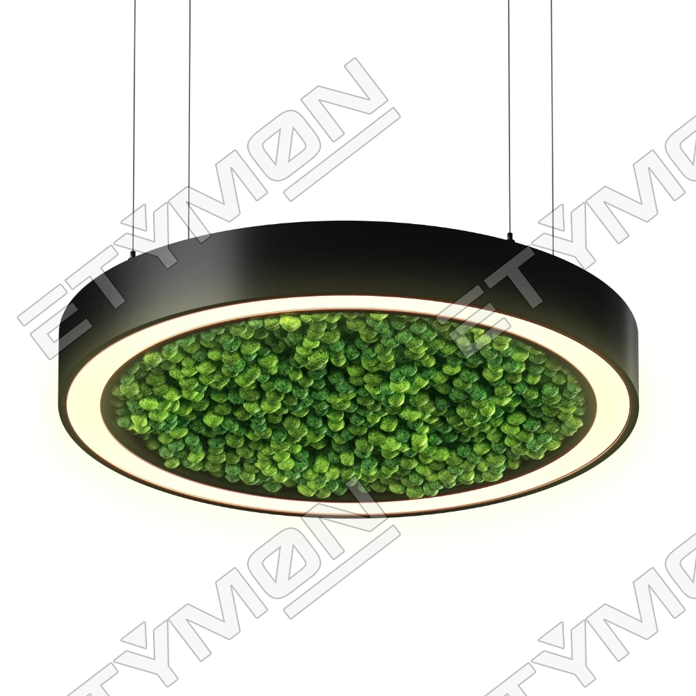ETYMON Annuvia Moss
