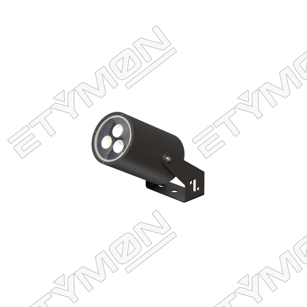 Etymon Solis 3