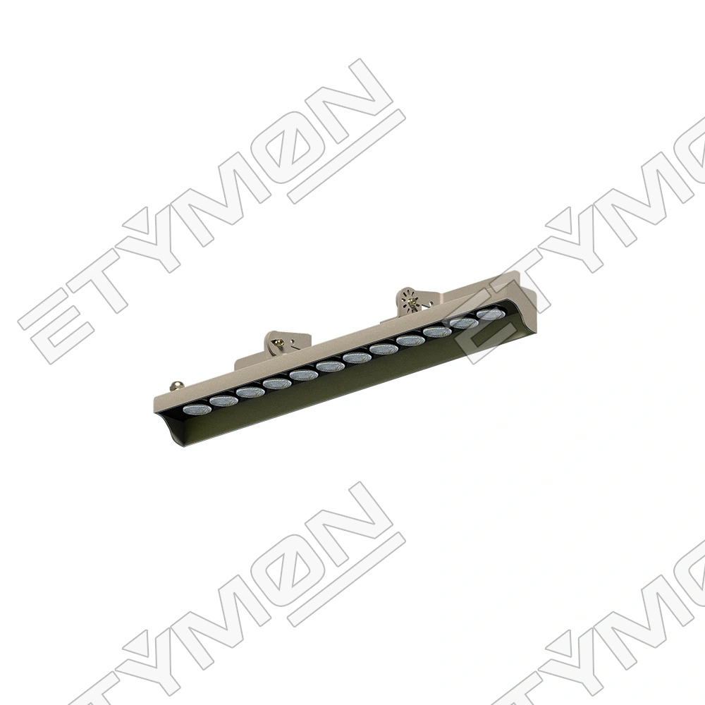 Etymon Nova